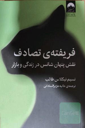 فریفته تصادف