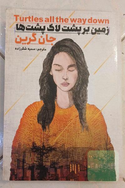 زمین بر پشت لاک پشت ها
