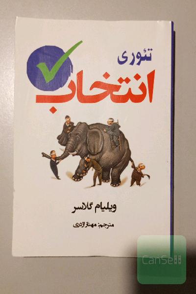تئوری انتخاب