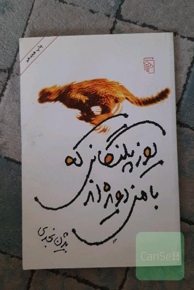یوزپلنگانی که با من دویده‌اند