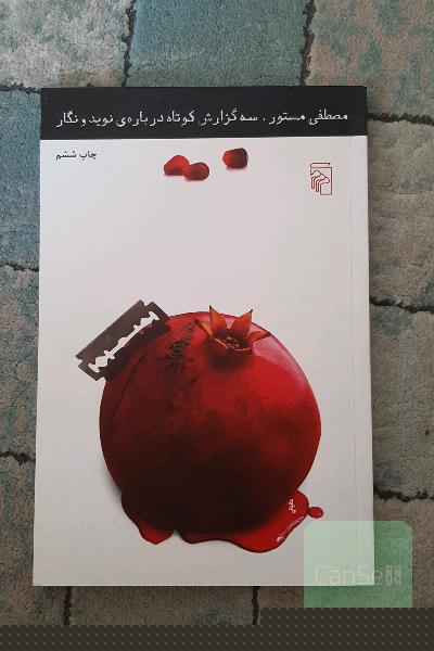 سه گزارش کوتاه درباره‌ی نوید و نگار