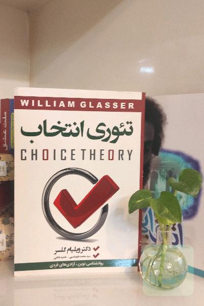 تئوری انتخاب 