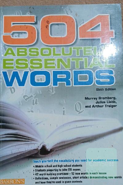 504 absolutely essential words