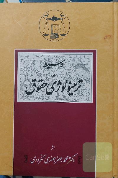 وسیط در ترمینولوژی حقوق
