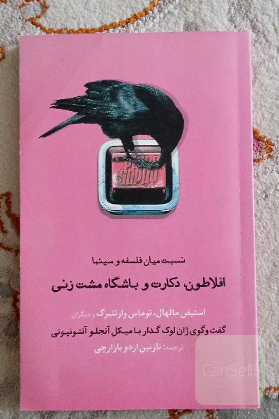 افلاطون، دکارت و باشگاه مشت‌زنی: نسبت میان فلسفه و سینما