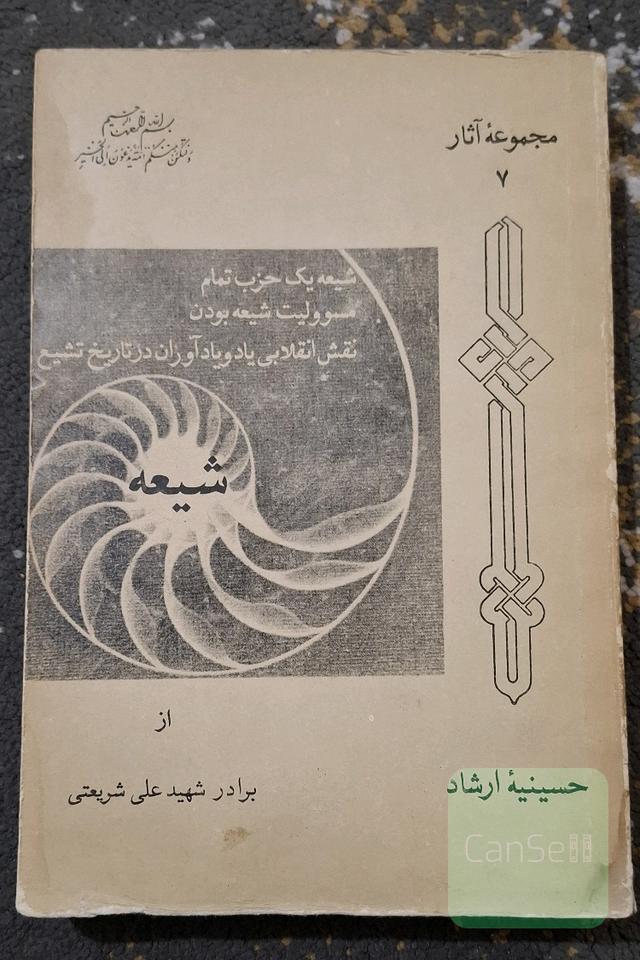 شیعه