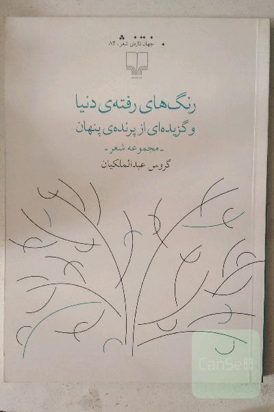 رنگ‌های رفته‌ی دنیا و گزیده‌ای از پرنده‌ی پنهان