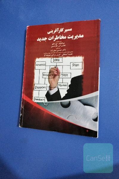 مسیر کارافرینی مدیریت مخاطرات جدید