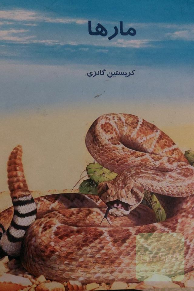 دانستنیهایی درباره ی مارها