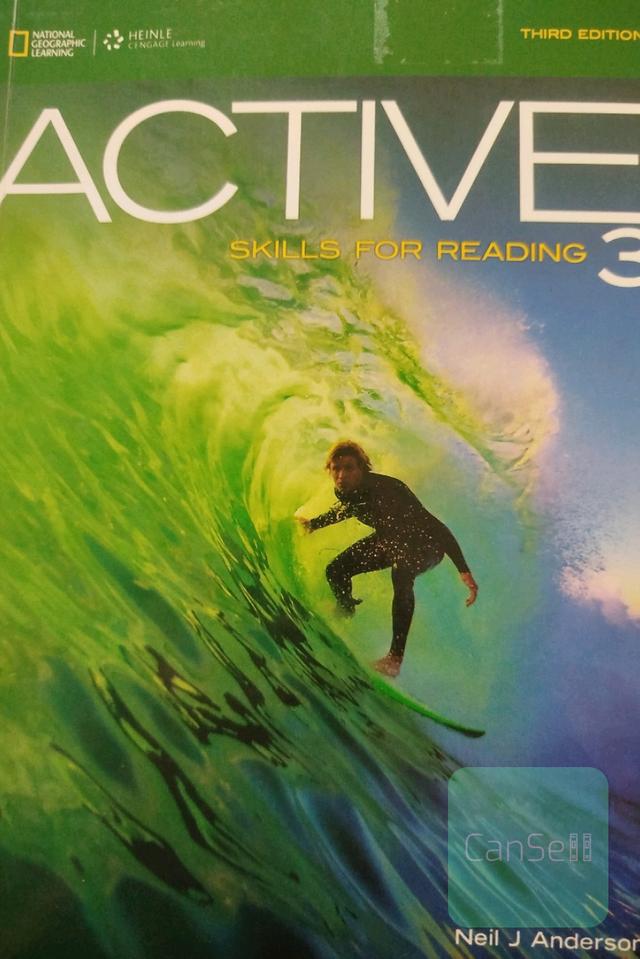 active skills for reading 3