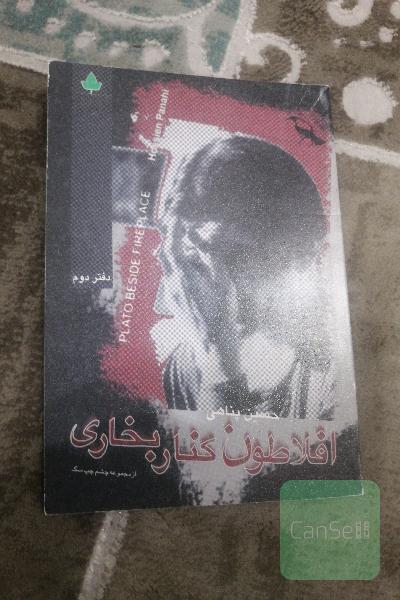 افلاطون کنار بخاری از مجموعه چشم چپ سگ 