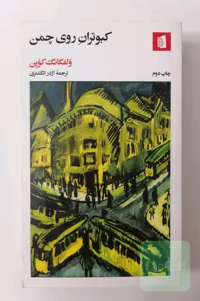 کبوتران روی چمن