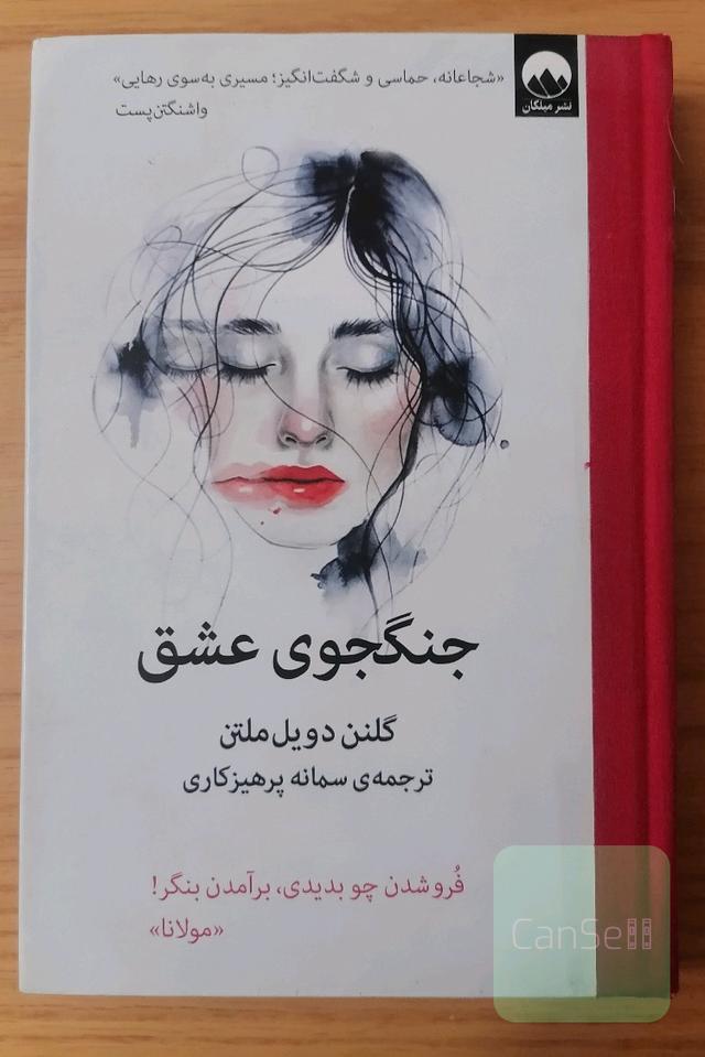جنگجوی عشق