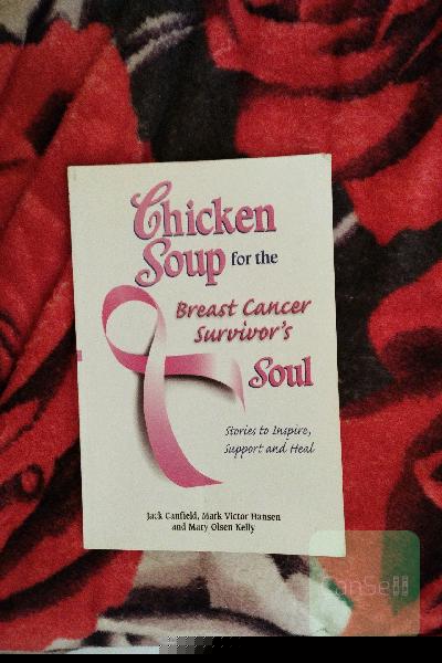 chicken soup for the....