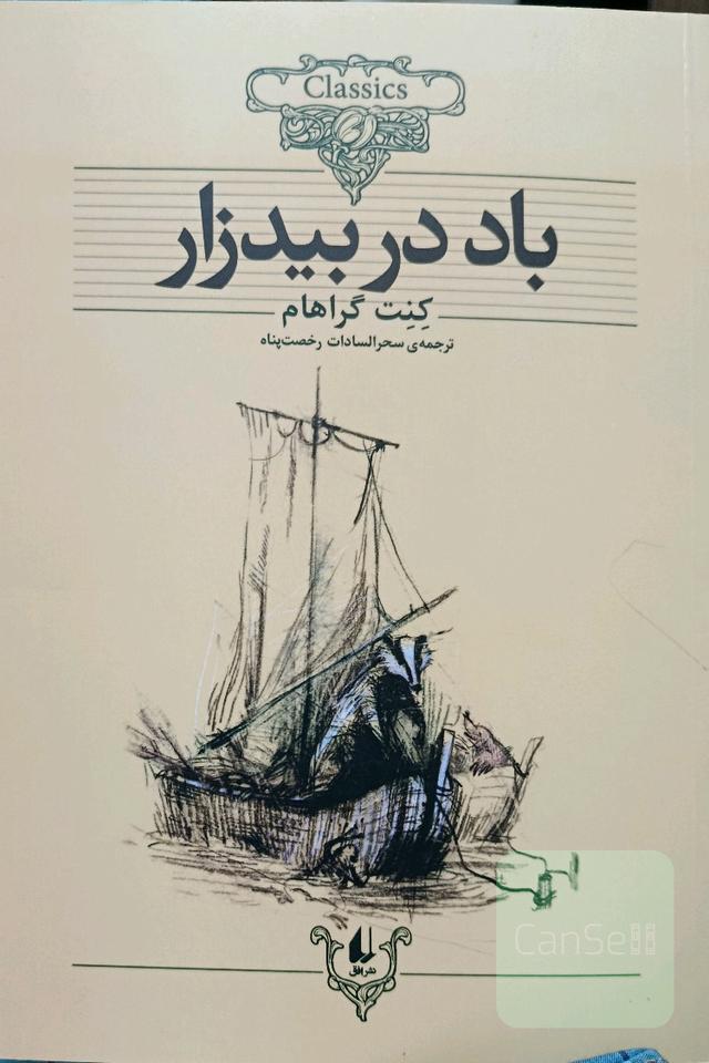 باد در بیدزار