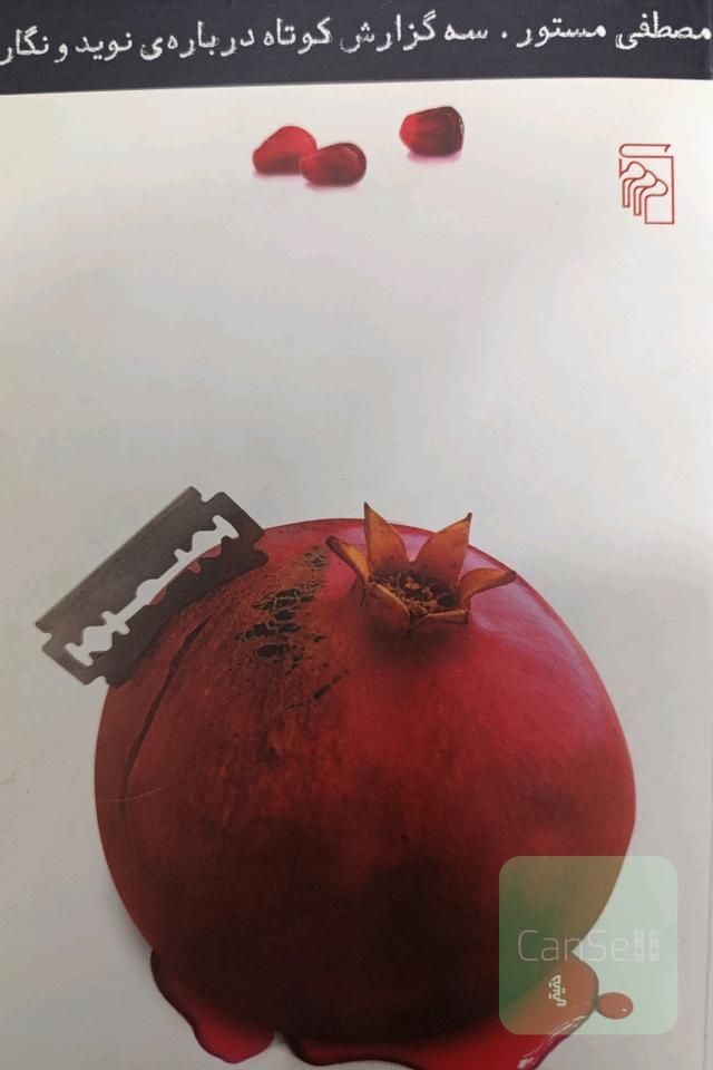 سه گزارش کوتاه درباره‌ی نوید و نگار