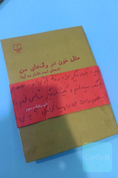 مثل خون در رگ های من