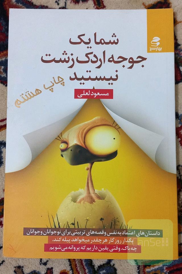 شما یک جوجه اردک زشت نیستید