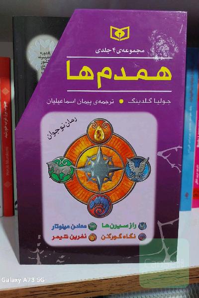 مجموعه همدم ها 