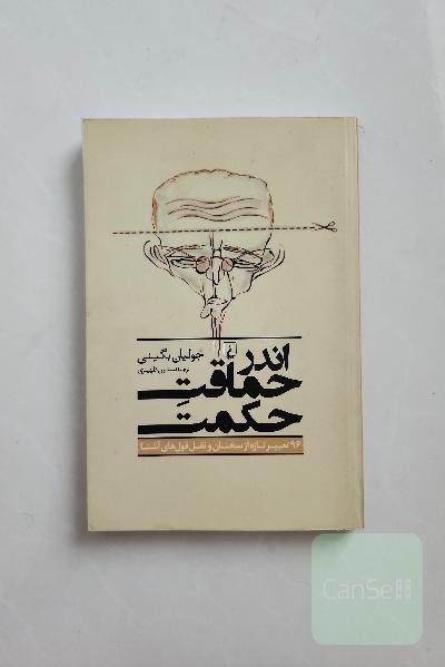 اندر حماقت حکمت: 96 تعبیر تازه از سخنان و نقل‌قول‌های آشنا