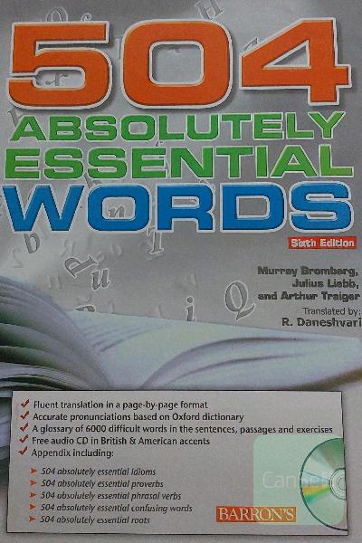 504 absolutely essential words