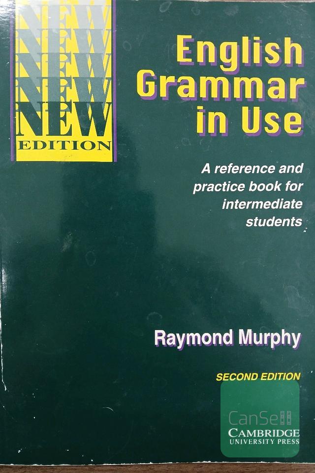 English grammar in use