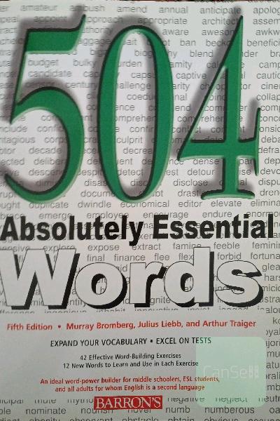 504 absolutely essential words