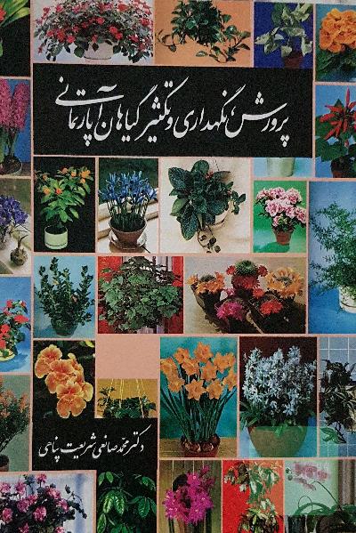 پرورش، نگهداری و تکثیر گیاهان آپارتمانی 