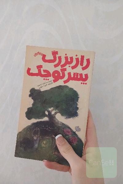 راز بزرگ پسر کوچک