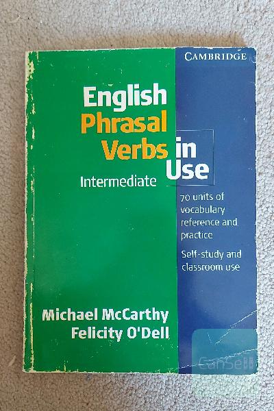 English phrasal verbs in use
