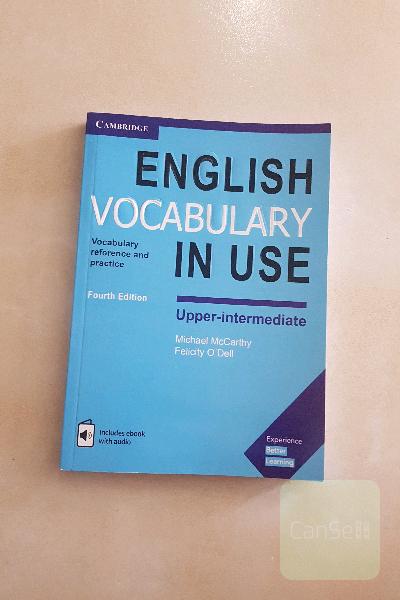 vocabulary in use