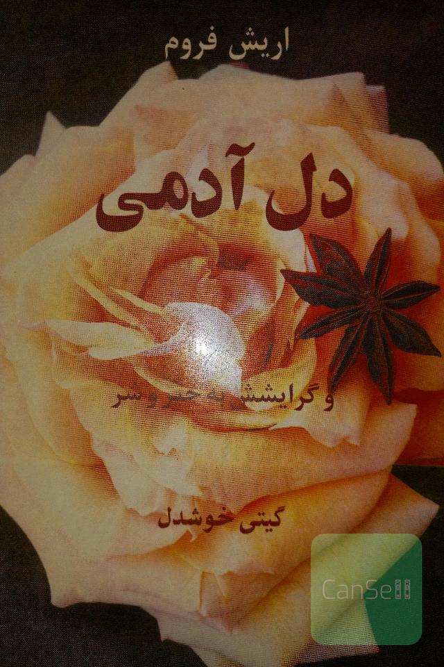 دل آدمی