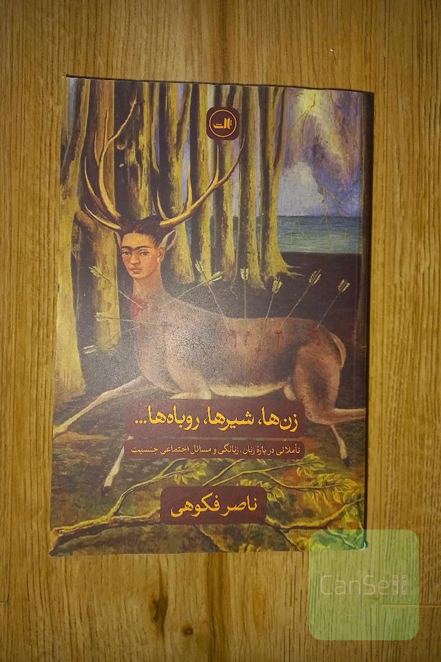 زن‌ها، شیرها، و روباه‌ها: تاملاتی درباره زنان، زنانگی و مسائل اجتماعی جنسیت