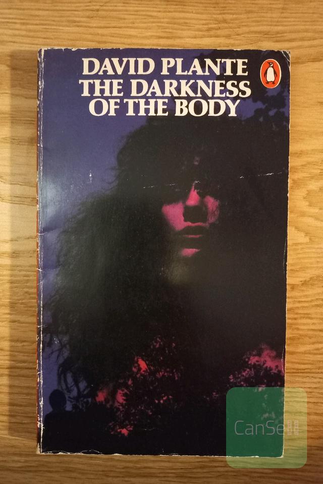 The darkness of the body