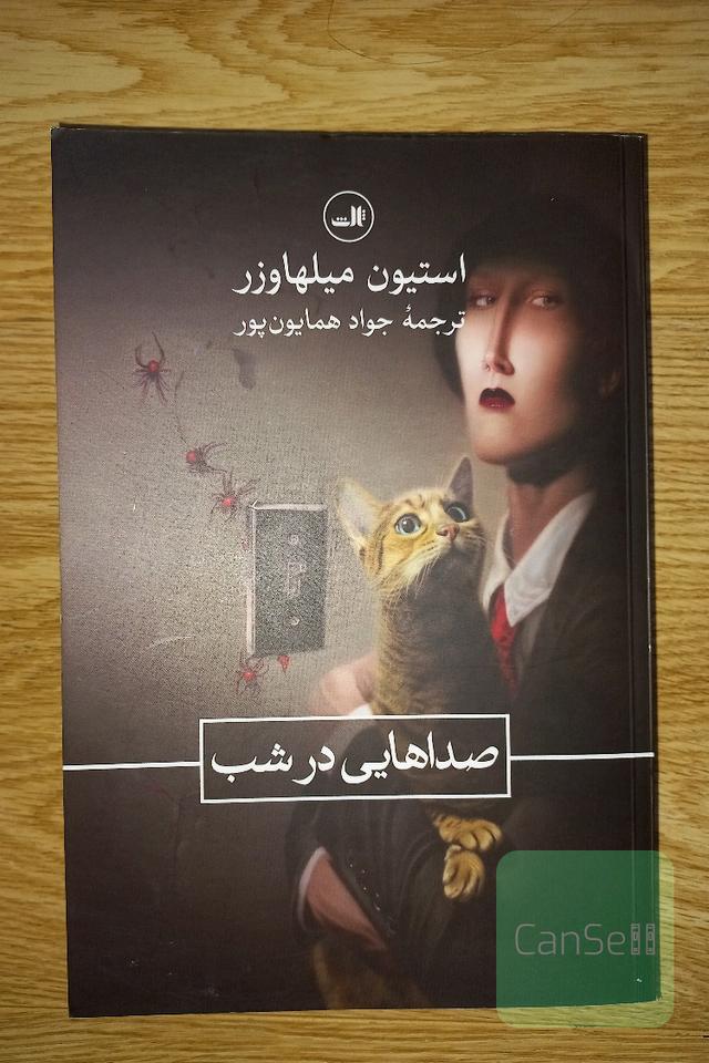 صداهایی در شب