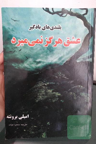 عشق هرگز نمی میرد (بلندی های بادگیر)