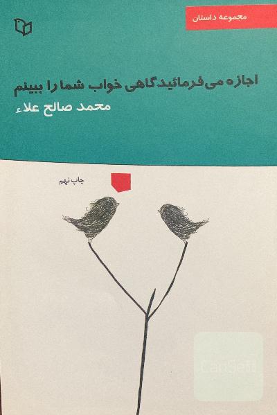 اجازه می‌فرمایید گاهی خواب شما را ببینم؟: پنج داستان، دو روایت
