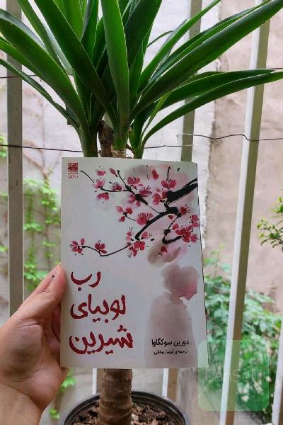 رب لوبیای شیرین