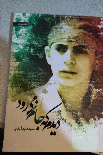 دیدم که جانم می‌رود