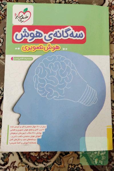 سه گانه ی هوش تصویری