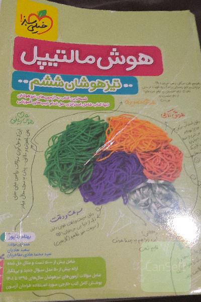 هوش مالتیپل تیزهوشان ششم