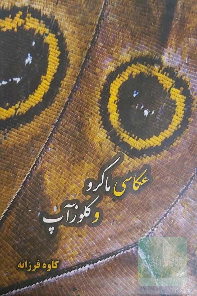 عکاسی ماکرو و کلوز آپ 