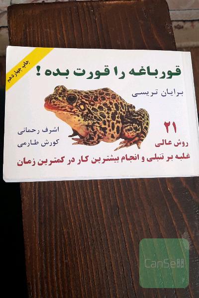 قورباغه را قورت بده