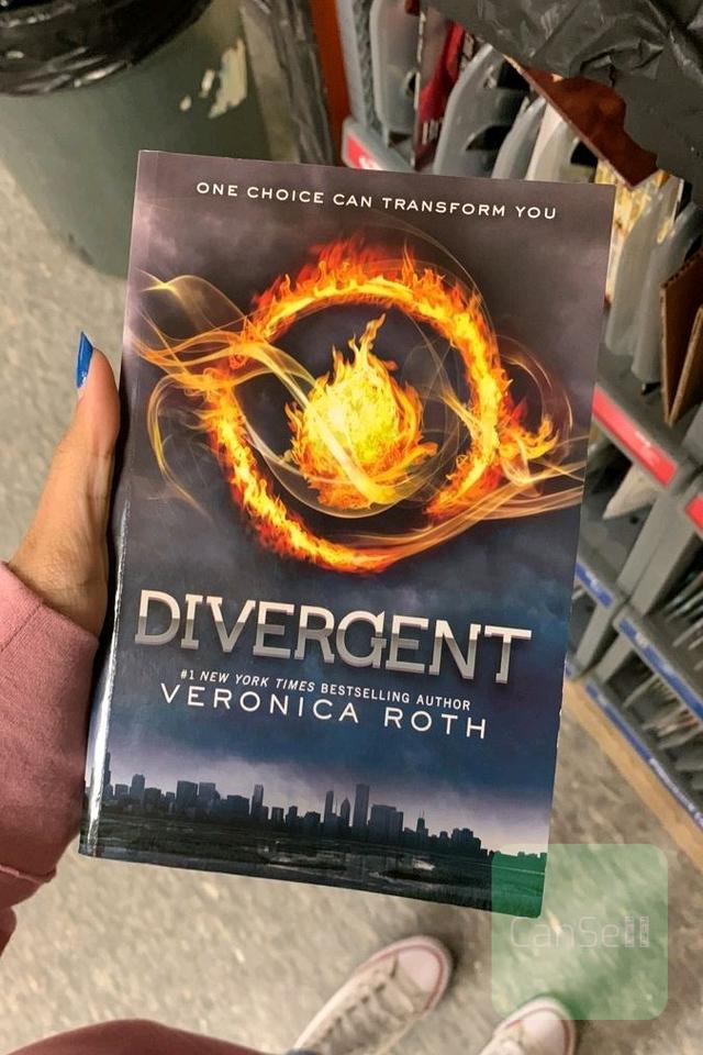 ناهمتا | Divergent