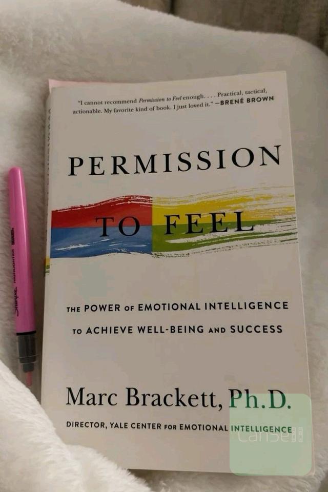 اجازه احساس | Permission to Feel