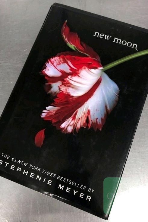 ماه نو | New Moon