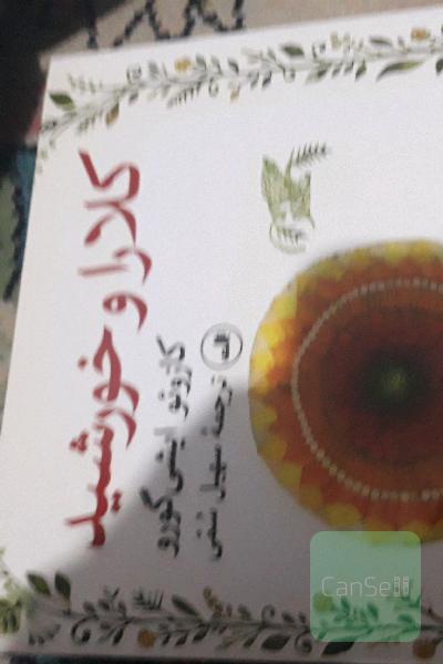 رمان ژاپنی 