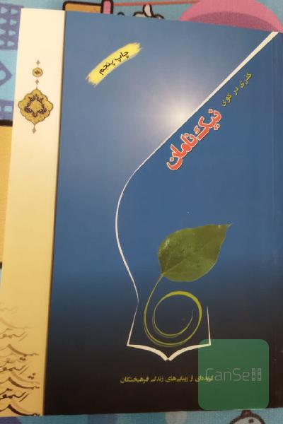 گذری در کوی نیک‌نامان