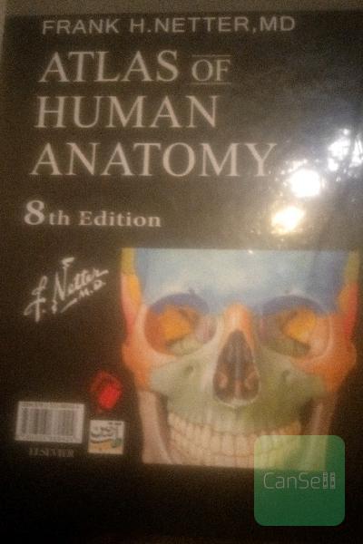 netter atlas edition 8 
