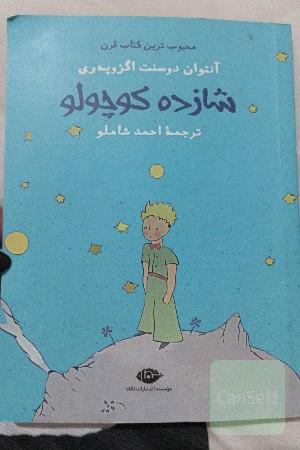 شازده کوچولو